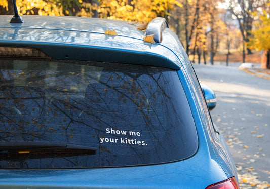 Show me your kitties - Car Decal